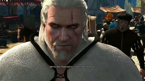 tax collector witcher 3